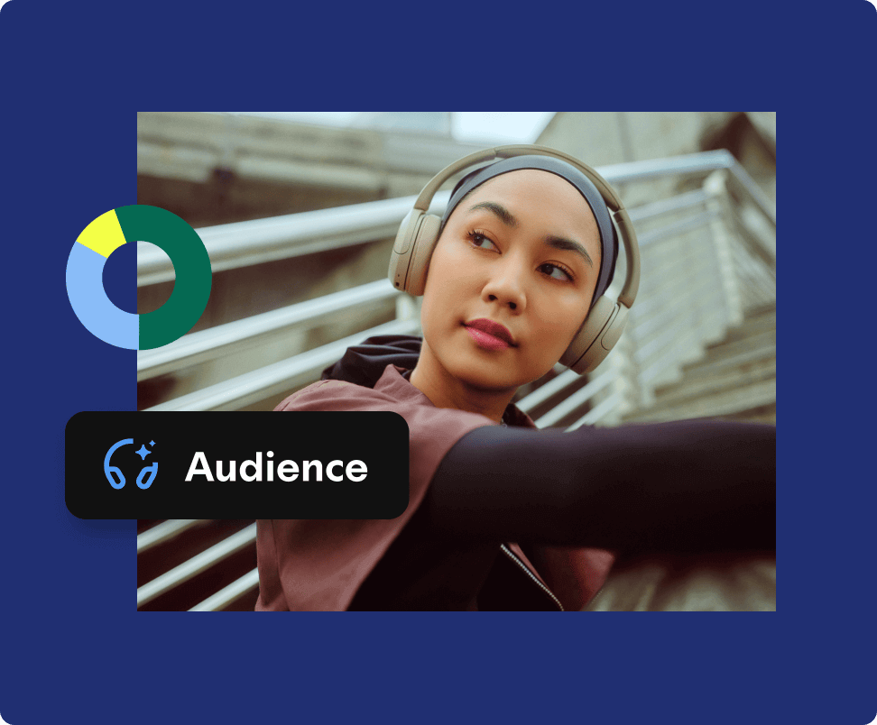 Audience insights and analytics